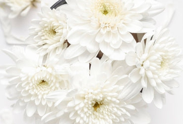 Why have a body scrub?